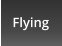 Flying
