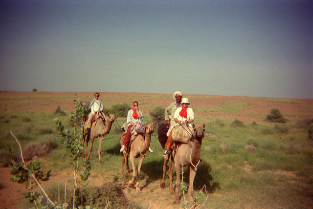 Camel safari, Thar Desert, Jaisalmer, India.