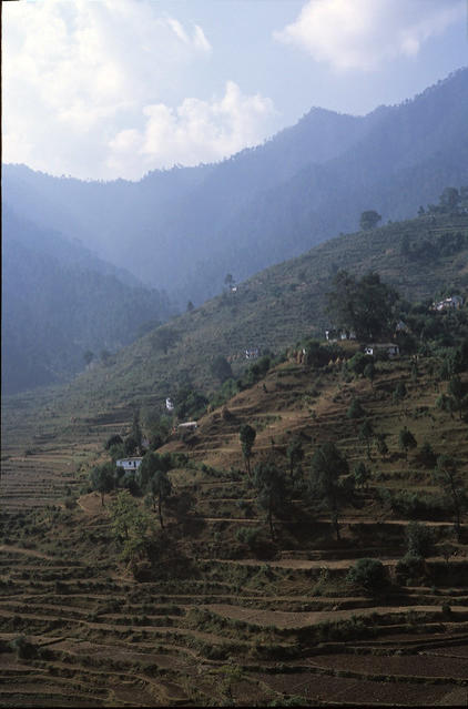 The view from our camp at Loharket, Pindari Glacier Trek.