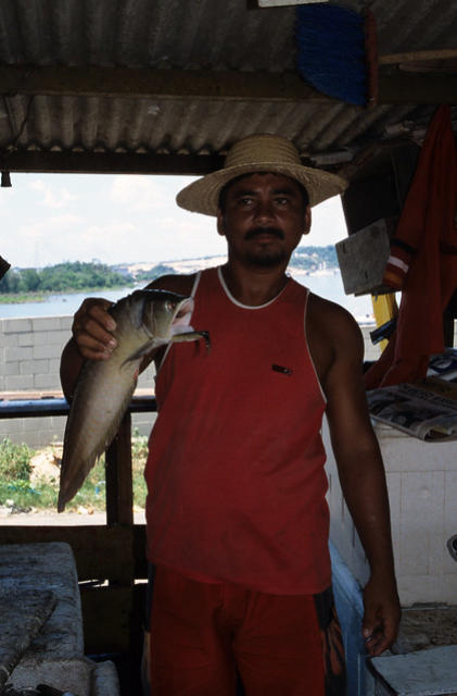 Riverside fish market at Manaus, Brazil.