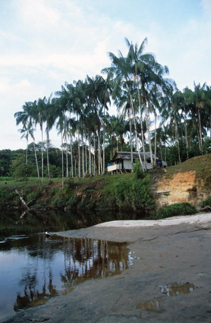 The FUNAI post at Camp One, Rio Cauaburi, Brazil.
