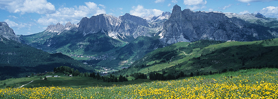 A summer meadow in the Dolomites, Italy.