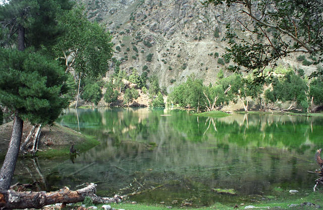 Vivid colours of Naltar Lake, Pakistan